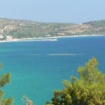 balazsh 2011